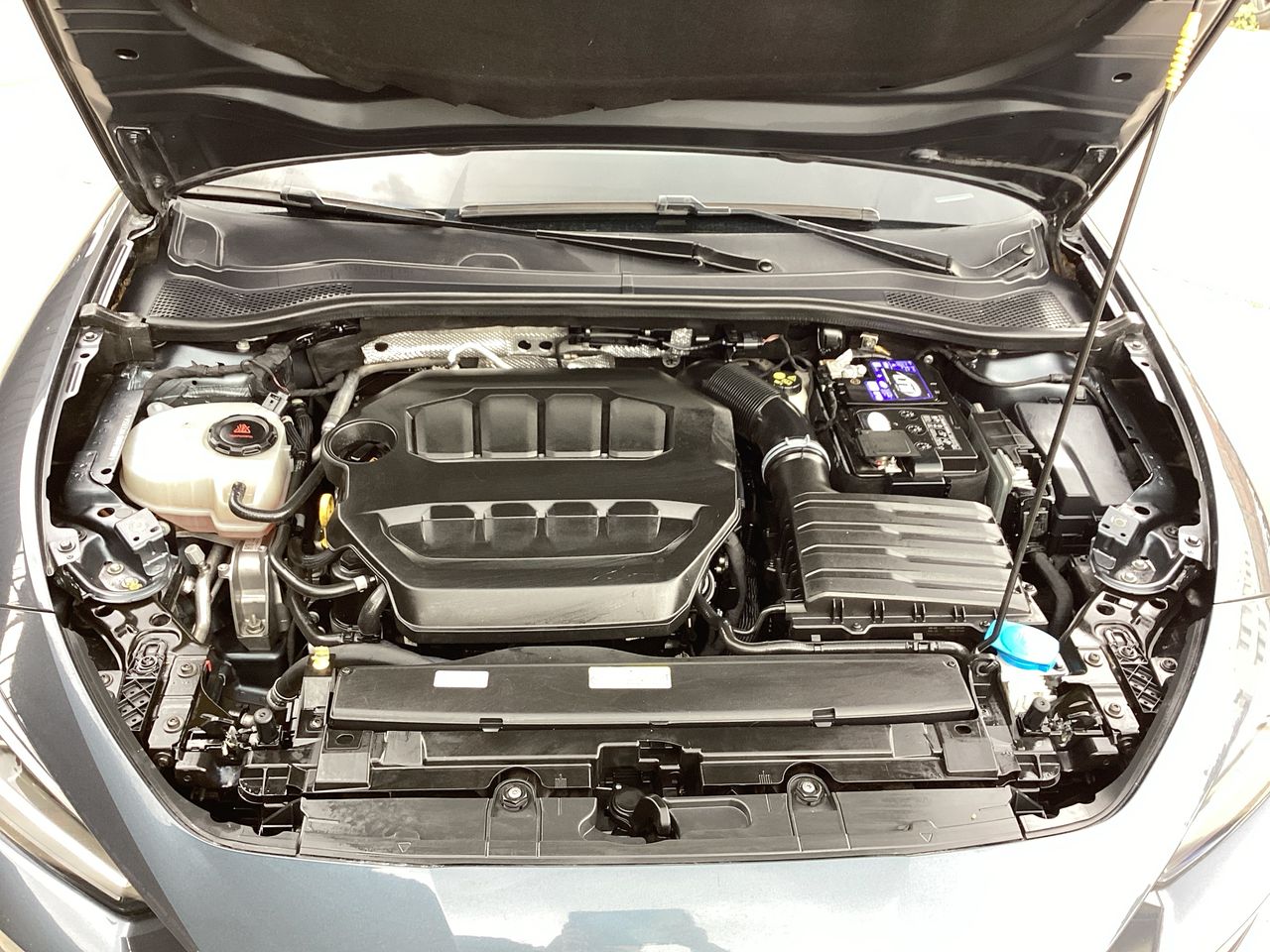 2022 Seat Leon 2.0 Cupra Special Edition 5p Dsg